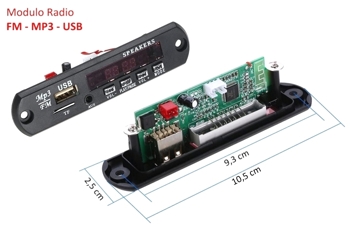 RADIO FM - MP3 module